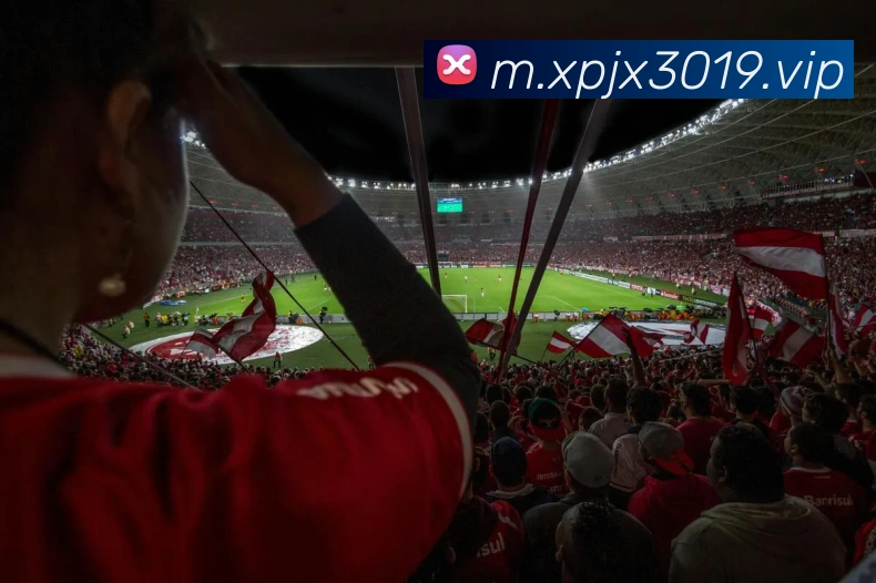 APP界面展示